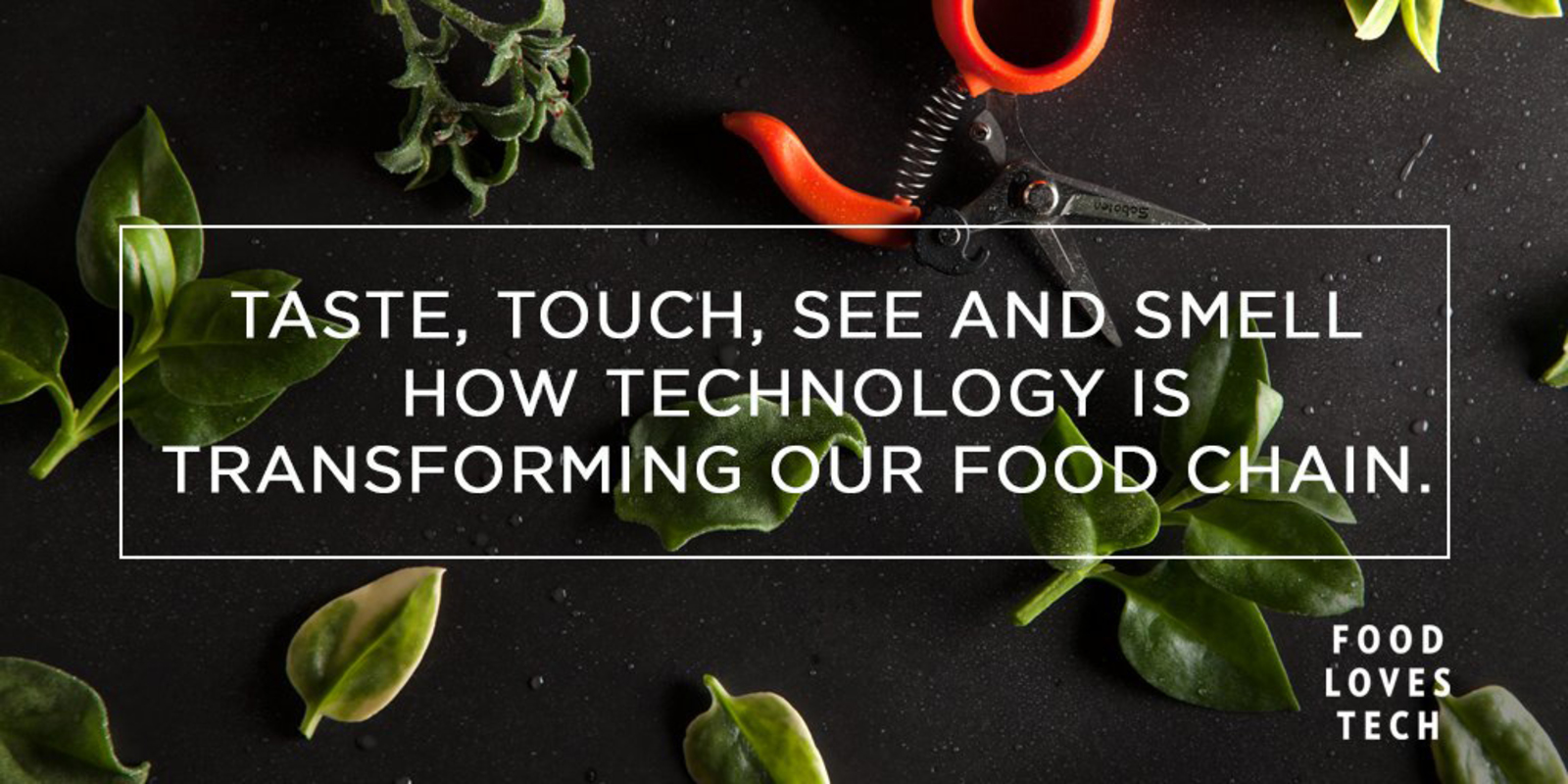 Food Loves Tech